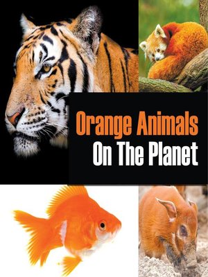 cover image of Orange Animals On the Planet